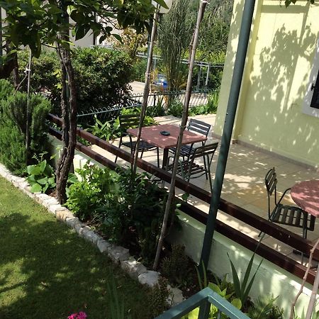 Apartments Simo Petrovac Екстериор снимка