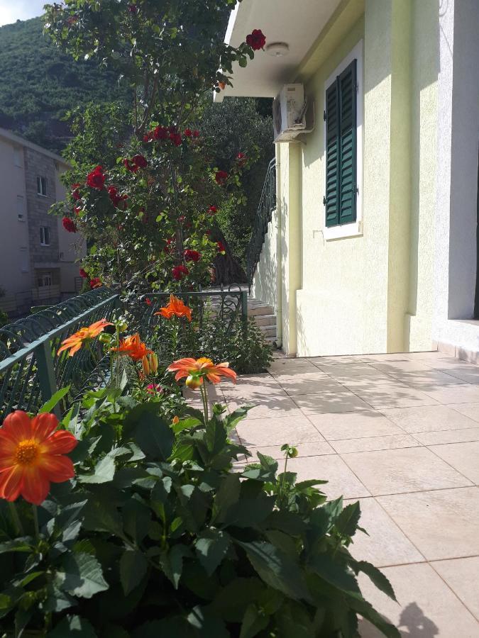 Apartments Simo Petrovac Екстериор снимка