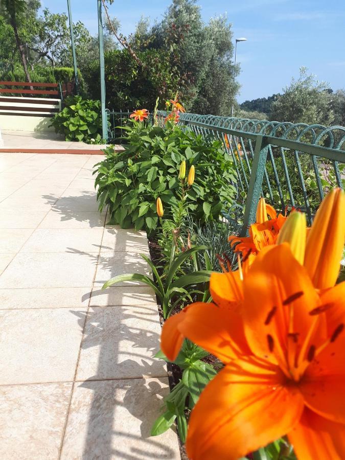 Apartments Simo Petrovac Екстериор снимка