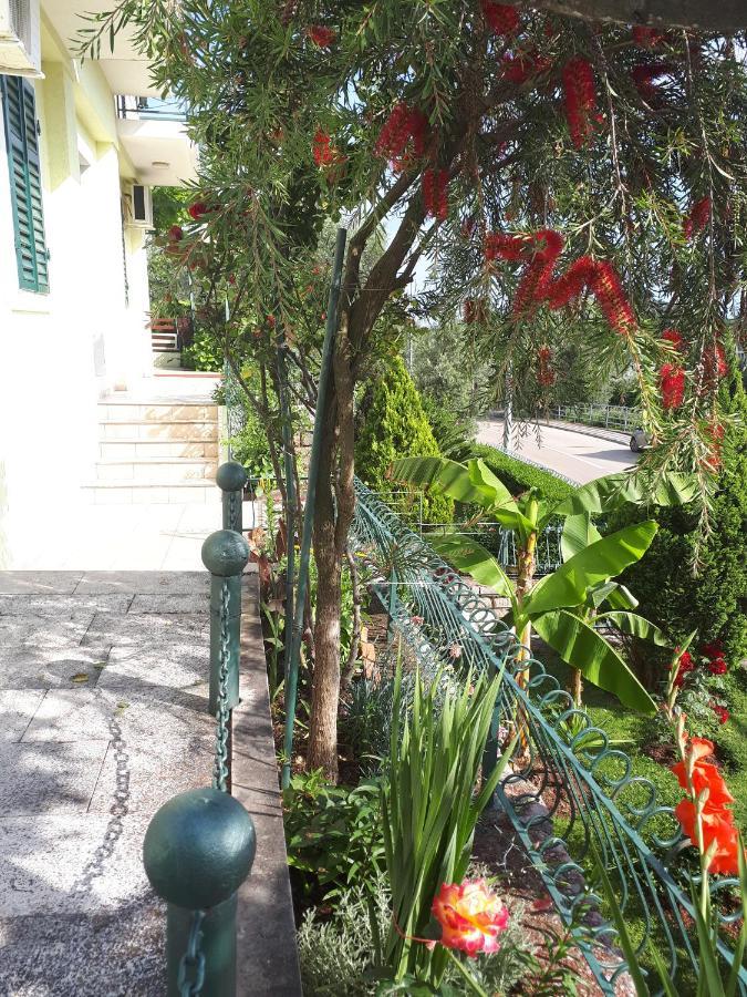 Apartments Simo Petrovac Екстериор снимка
