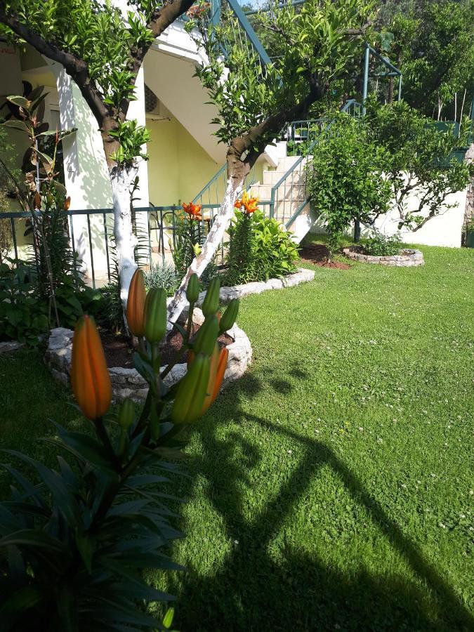 Apartments Simo Petrovac Екстериор снимка