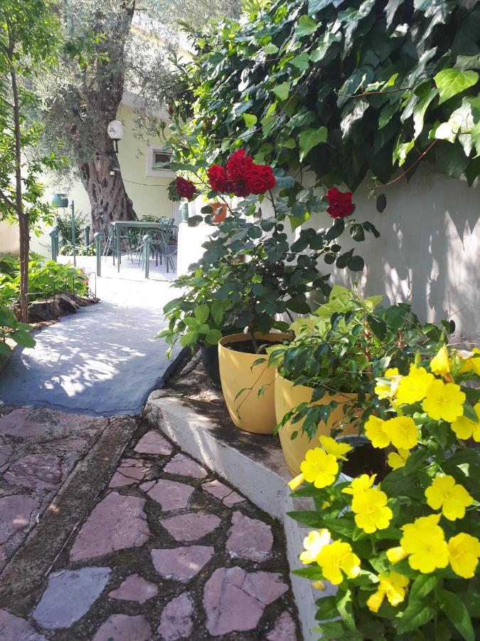 Apartments Simo Petrovac Екстериор снимка