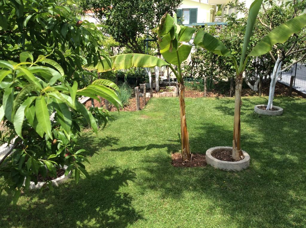 Apartments Simo Petrovac Екстериор снимка