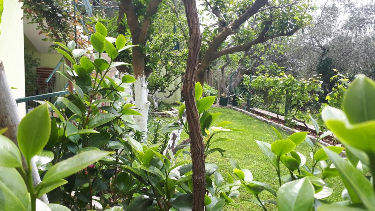 Apartments Simo Petrovac Екстериор снимка