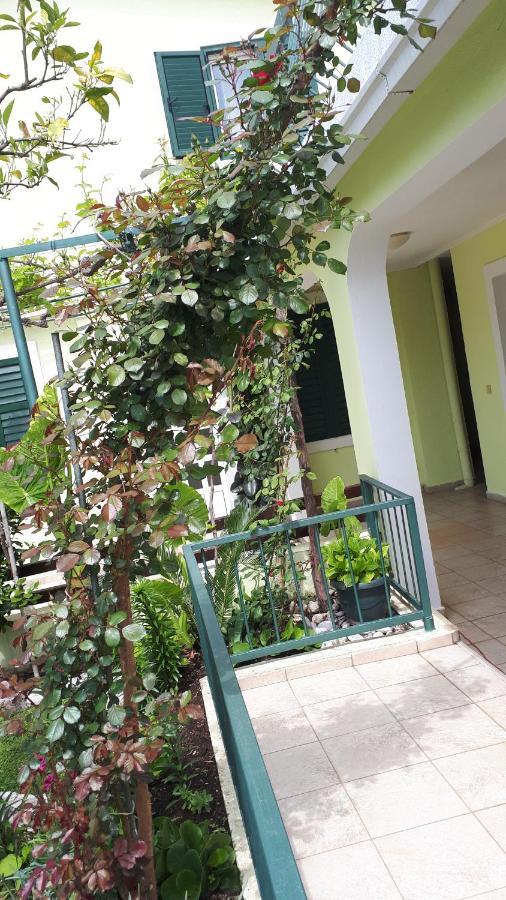 Apartments Simo Petrovac Екстериор снимка