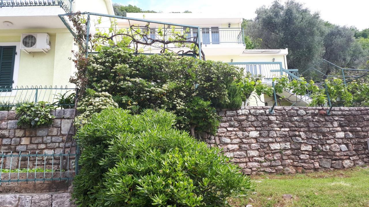 Apartments Simo Petrovac Екстериор снимка